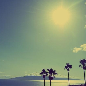 From Maui to Lanai Hawaii - The Daily Ornellas