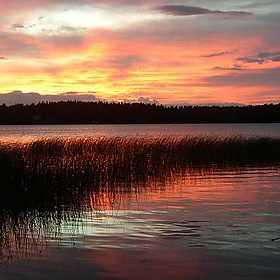 sun sets - Per Ola Wiberg ~ Powi
