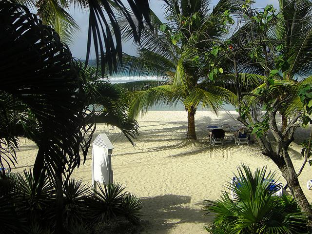 View from my room