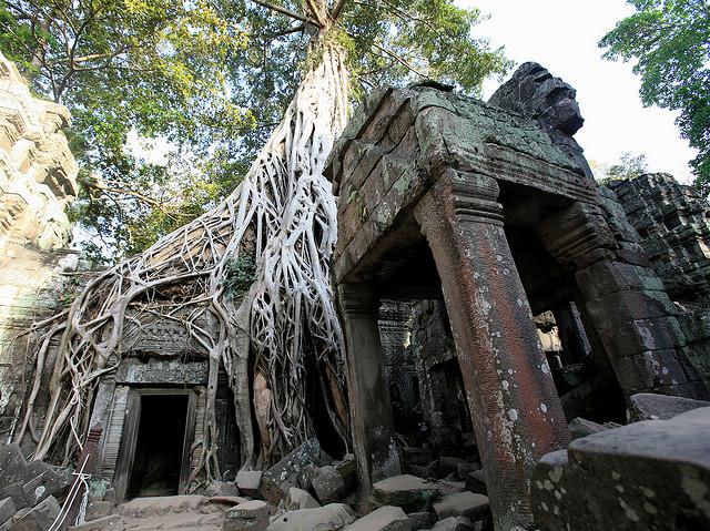Tomb Raider