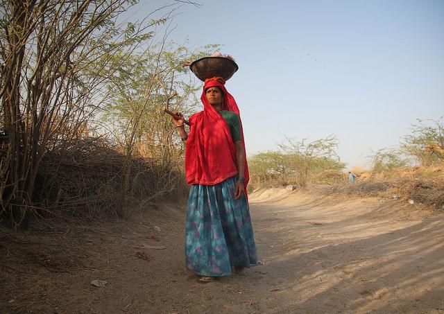Woman herds her goats home for the evening in Rajasthan, India