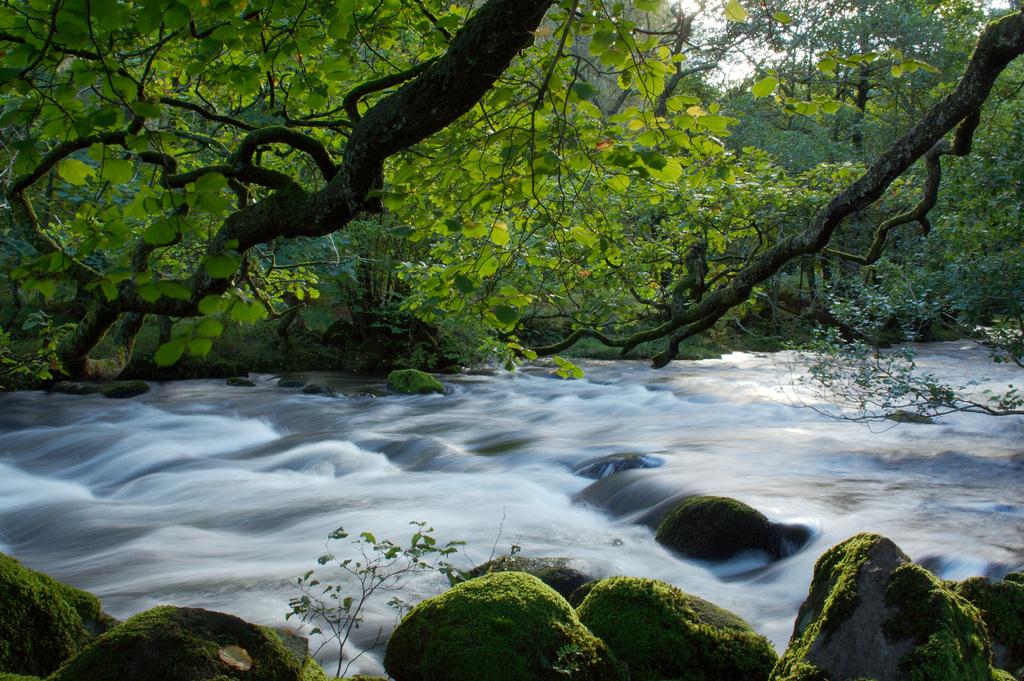 A stream of mist