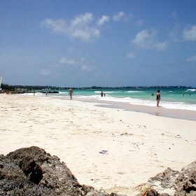 Barbados Beach - John Salzberg