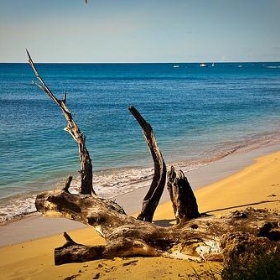 barbados (39 of 61) - martinvarsavsky