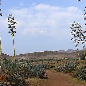 Camino - untipografico