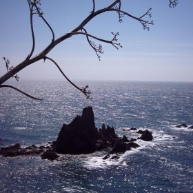 cabo de gata - DraXus