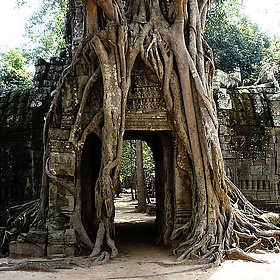 Angkor Wat - felixtriller. Angkor Wat - felixtriller.