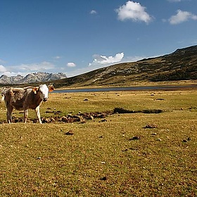 Lake Nino, Corsica, France - vigour