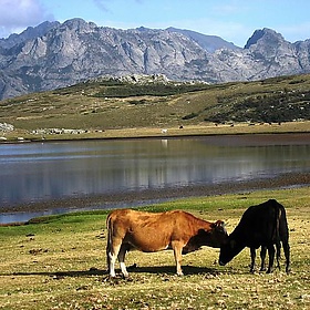 Lake Nino, Corsica, France - vigour