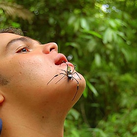 Costa Rica 2006 - brad.coy