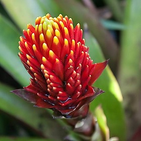 Honeymoon - Costa Rica-6641 - rfish77