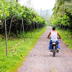 Costa Rica. On the Chocolate Tour - EverJean