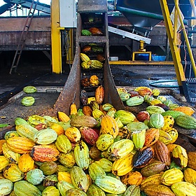 Costa Rica. On the Chocolate Tour - EverJean