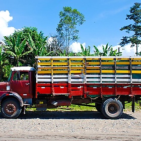 Costa Rica. On the Chocolate Tour - EverJean