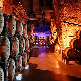 Rhône Valley - Maison Paul Jaboulet Aîné - Megan Mallen