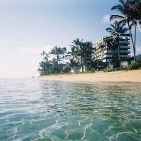 Gigi's Paradise on Oahu - ewen and donabel