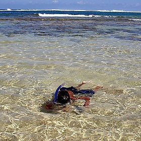 Jarid Snorkeling at Tunnels Beach - Fire Horse Leo Jarid Snorkeling at Tunnels Beach - Fire Horse Leo