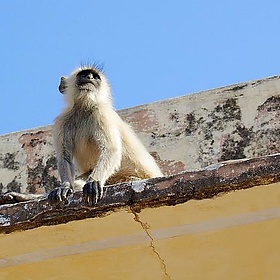 India, Day 6 - ampersandyslexia India, Day 6 - ampersandyslexia