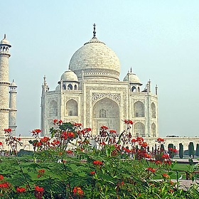 India-6117 - archer10 (Dennis)