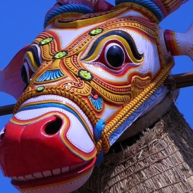 vibrant!! kettukazhcha കെട്ടുകാഴ്ച്ച a series of shots... - spisharam