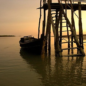 Ganges Delta (India) - eutrophication&hypoxia