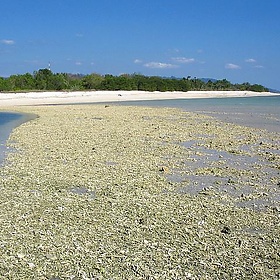 Backpacking Indonesia - keithusc