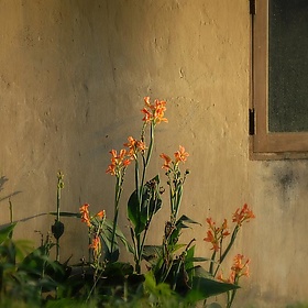 Bali-Indonesia-Ubud - ColbyOtero.com