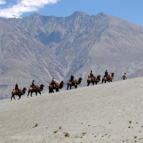 Caravan, Diskit dunes - wildxplorer