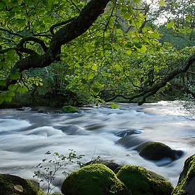 A stream of mist - Mini OzzY