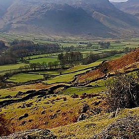 Langdale 2 - the yes man