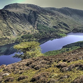 Buttermere - Caza_No_7
