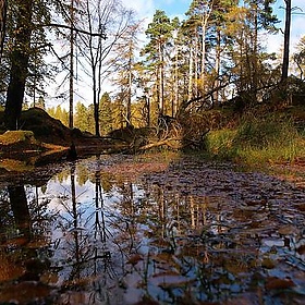 Tarn Hows - estoril