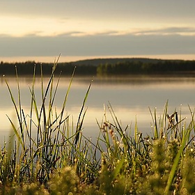 Midsummer in Lapland - RukaKuusamo.com