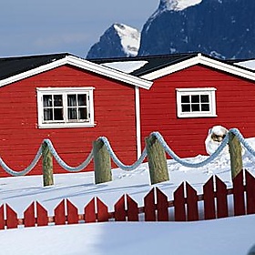 LOFOTEN_10-03-30_0170 - Vincenzo_1949 LOFOTEN_10-03-30_0170 - Vincenzo_1949
