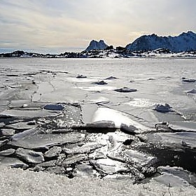 LOFOTEN_10-03-31_0214 - Vincenzo_1949