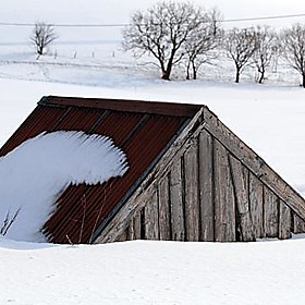 LOFOTEN_10-04-01_0013 - Vincenzo_1949
