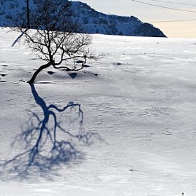 LOFOTEN_10-03-31_0069 - Vincenzo_1949