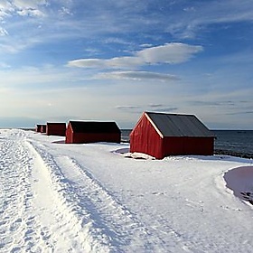 LOFOTEN_10-04-01_0083 - Vincenzo_1949