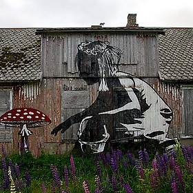 Dolk and Pøbel in Lofoten - Kim Joar