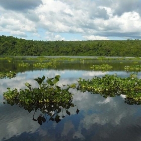 Lake Ravelobe, Ankarafantsika National Park, Madagascar - Frank.Vassen