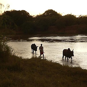 Madagascar - Aleix Cabarrocas Garcia