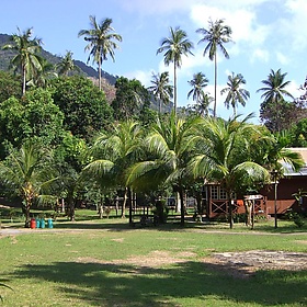 Paya Resort, Tioman, Malaysia - amg.lincluden