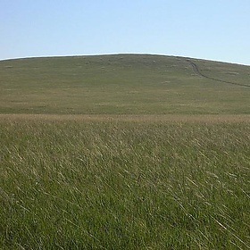 Mongolia - Wolfiewolf Mongolia - Wolfiewolf