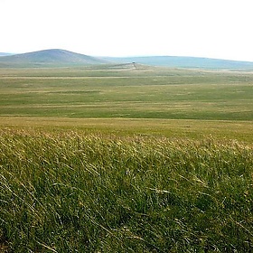 Inner Mongolia - Wolfiewolf Inner Mongolia - Wolfiewolf