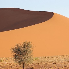 Sossusvlei, Namibia - Sara&Joachim