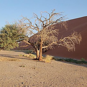 Sossusvlei, Namibia - Sara&Joachim