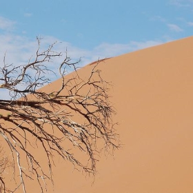 Sossusvlei, Namibia - Sara&Joachim