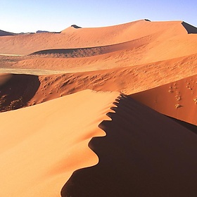 Sossusvlei, Namibia - Monica Guy