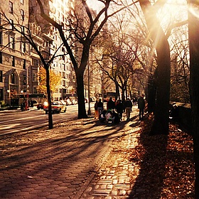 New York City Street at Thanksgiving - saccodent