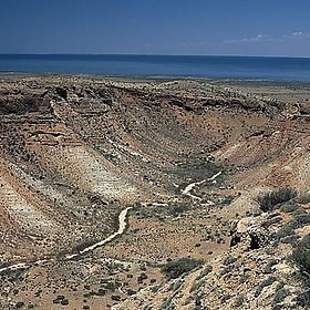 Ningaloo - Eugene Regis